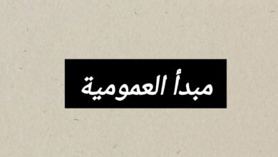 مبدأ العمومية