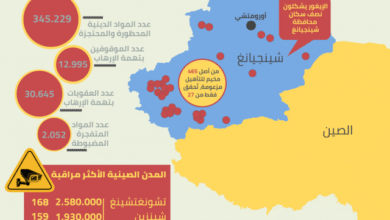 من هم الإيغور
