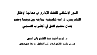 الدور الإنشائي للقضاء الإداري في معالجة الإغفال التشريعي